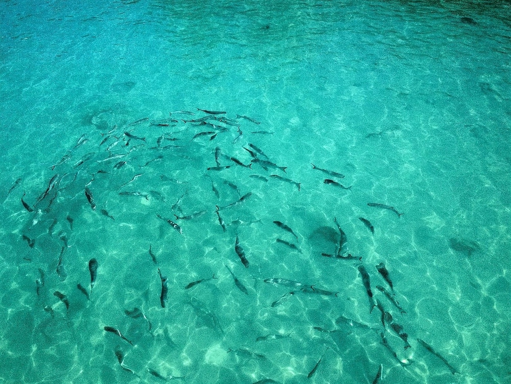 Abaka Bay Resort