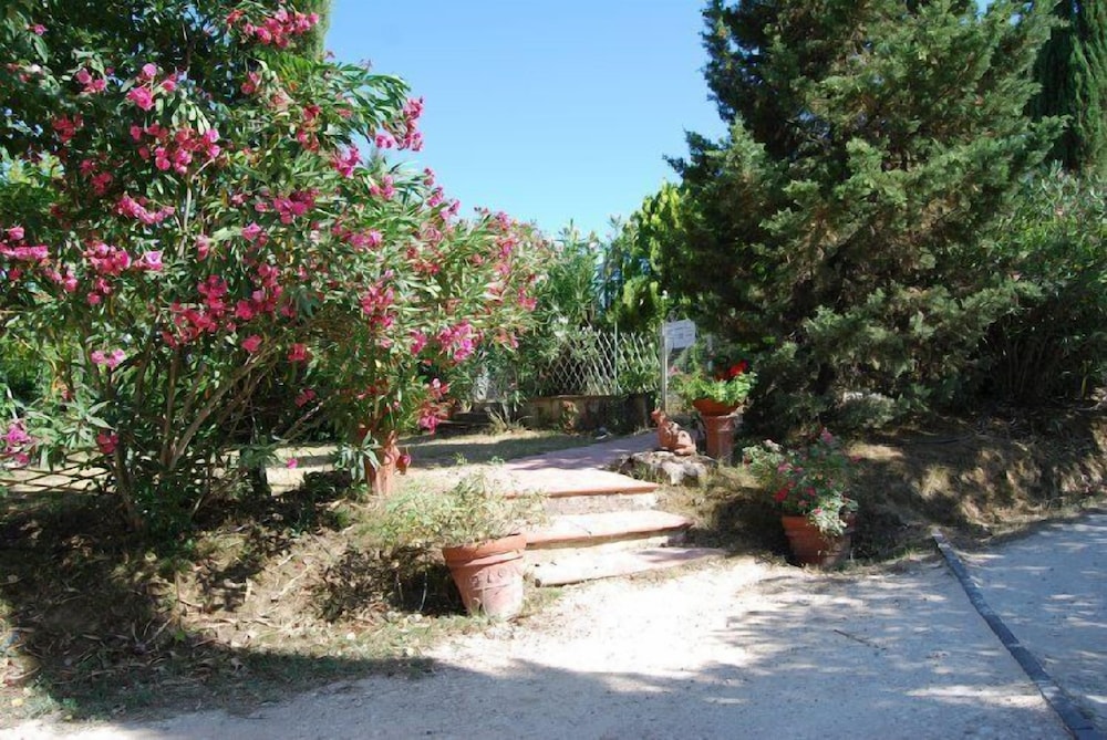 Tenuta il Pino
