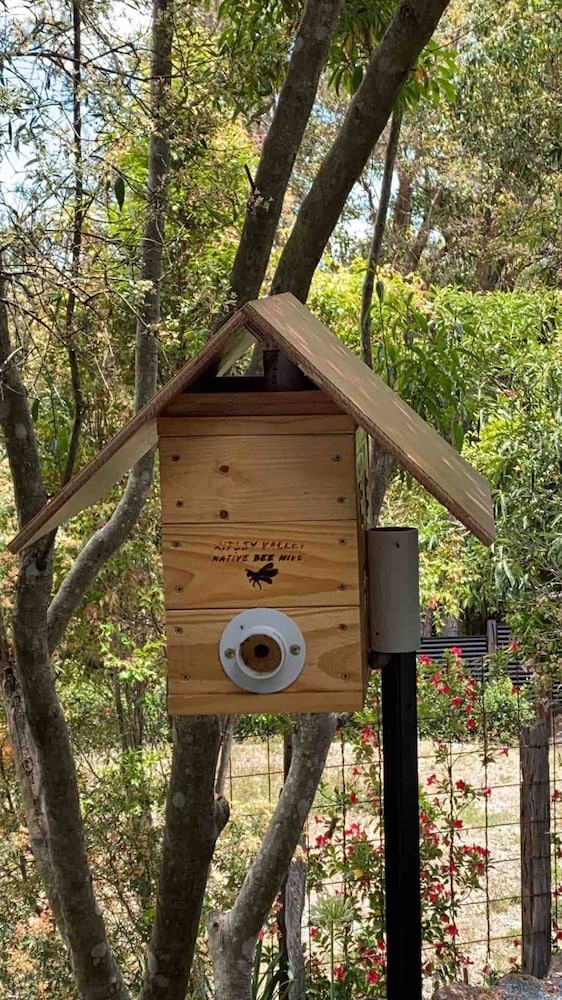 Cabane Tiny Tree House no4