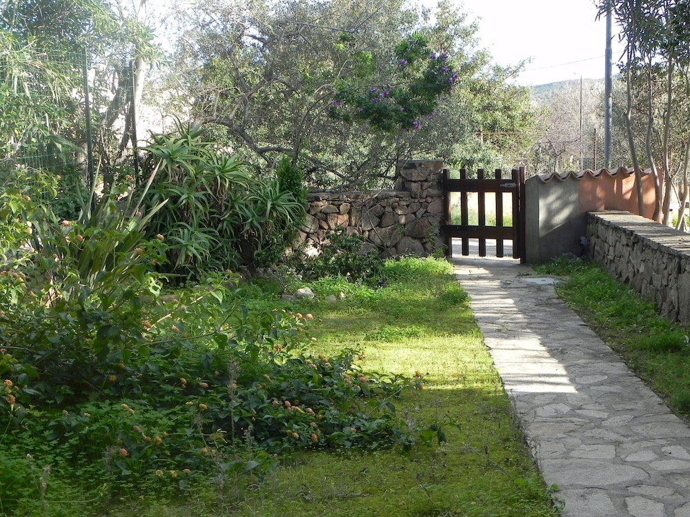 Photo 14
