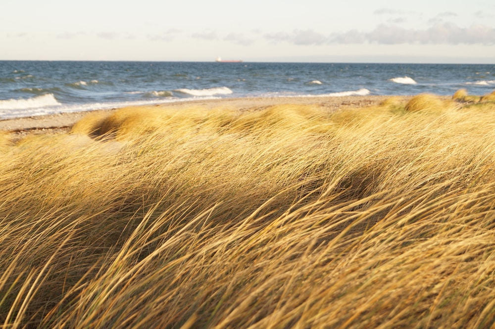Strandleben Fehmarn - Ferienhaus 1 view 3