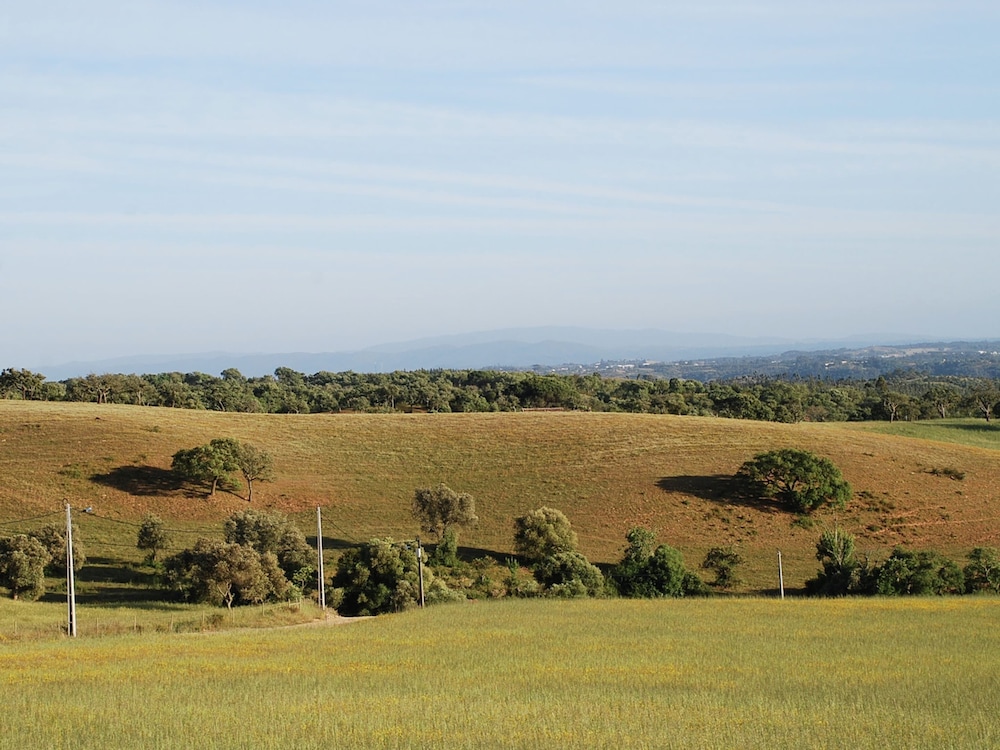 Quiet Cottage in Estate Casas da Cerca near Troviscais view 4