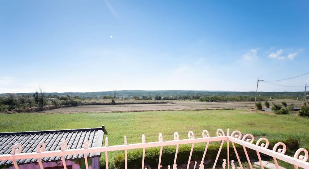 Avignon B&B
