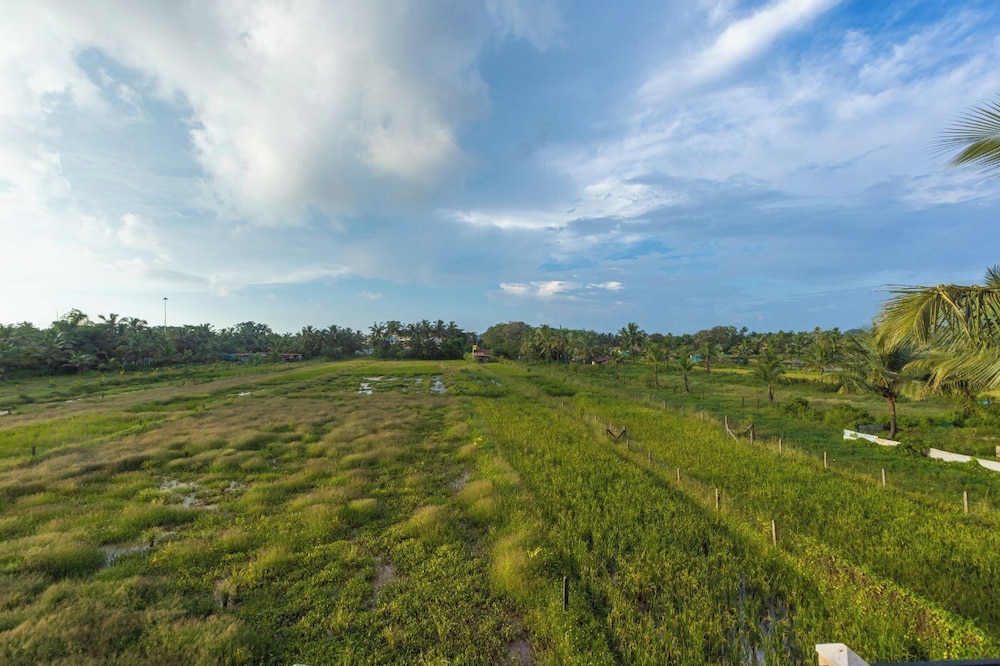 Palm Retreat 1BHK Pool & Field Views