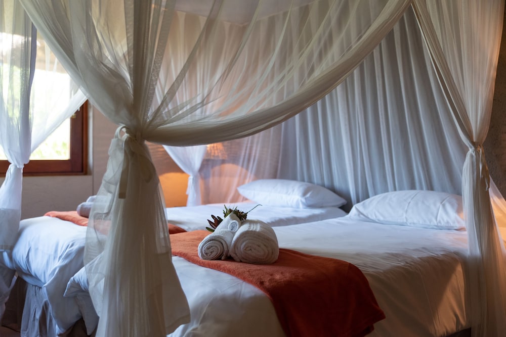 Elephant Game Lodge