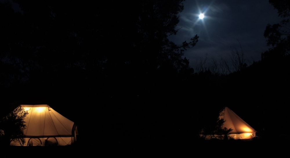 Zeehan Bush Camp