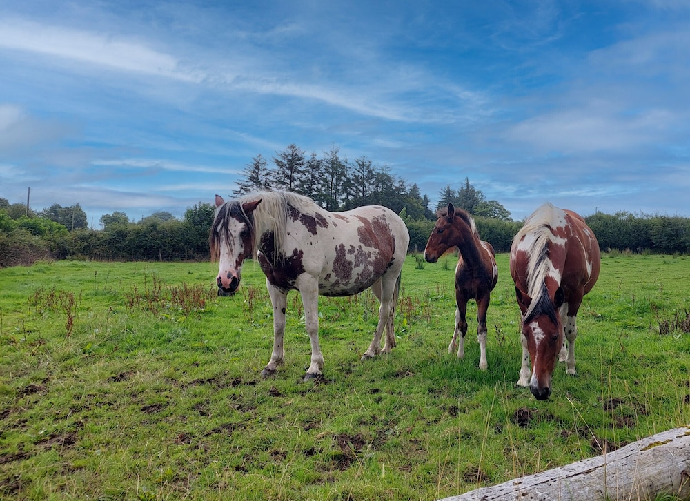 Farm View Cottage Castlerea