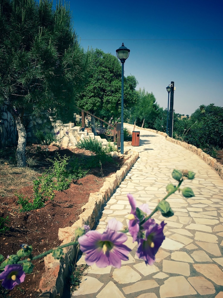 Mountain Breeze Resort