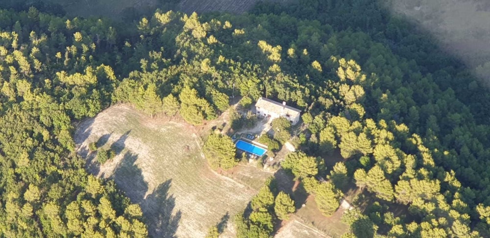other