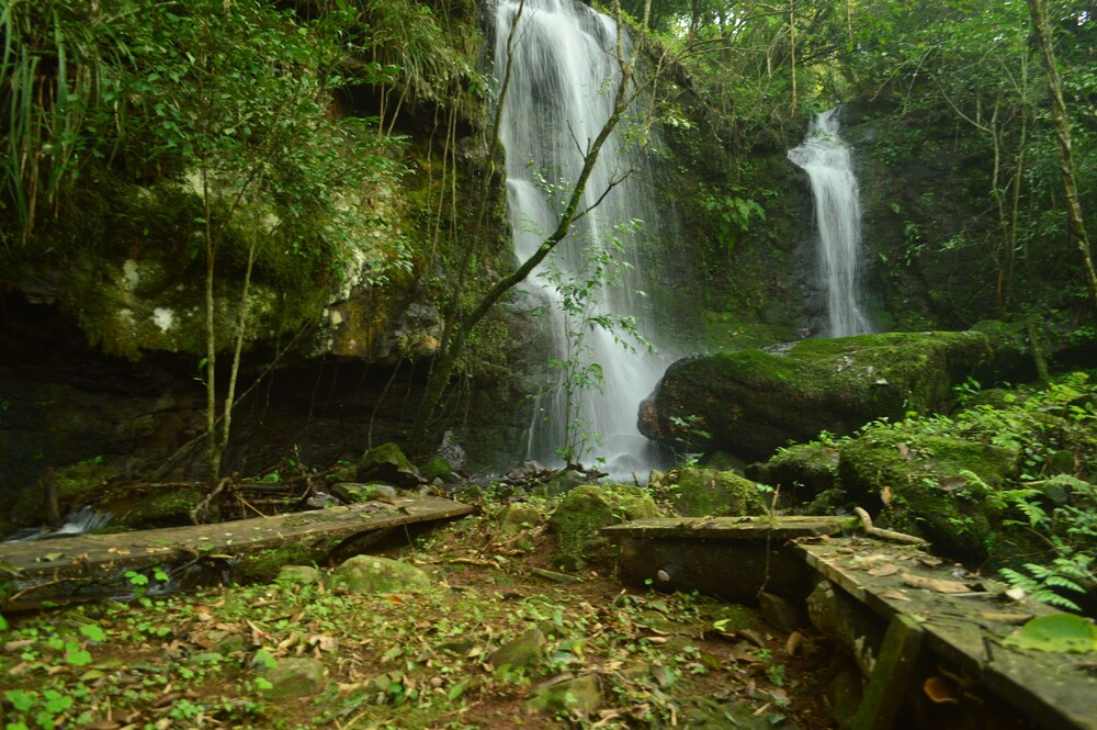 Coati Lodge