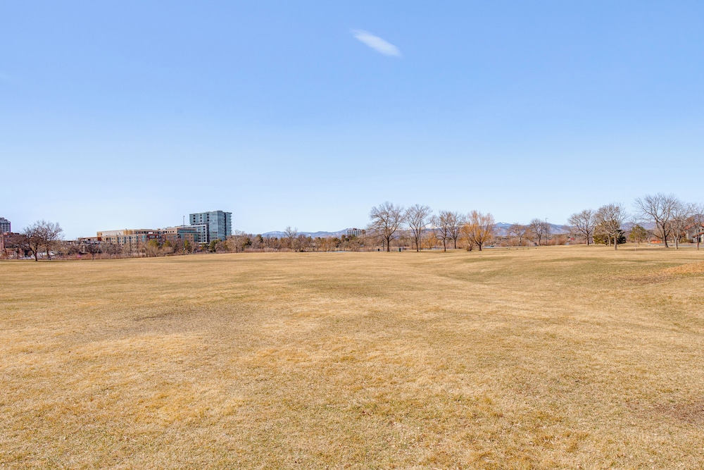 Luxe Designer Flat on Sloans Lake w/ Rooftop Deck