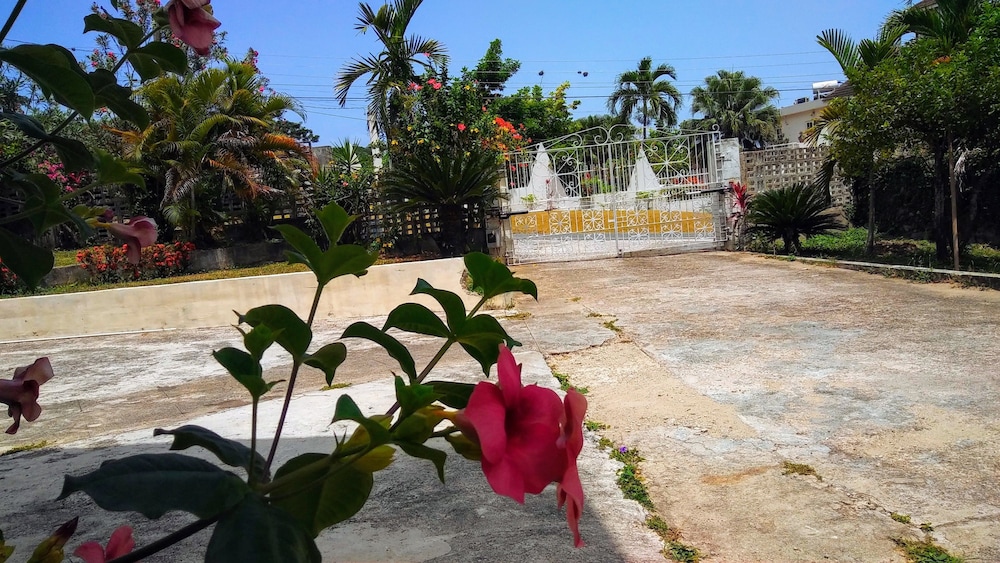 JH Tropical Arcadia