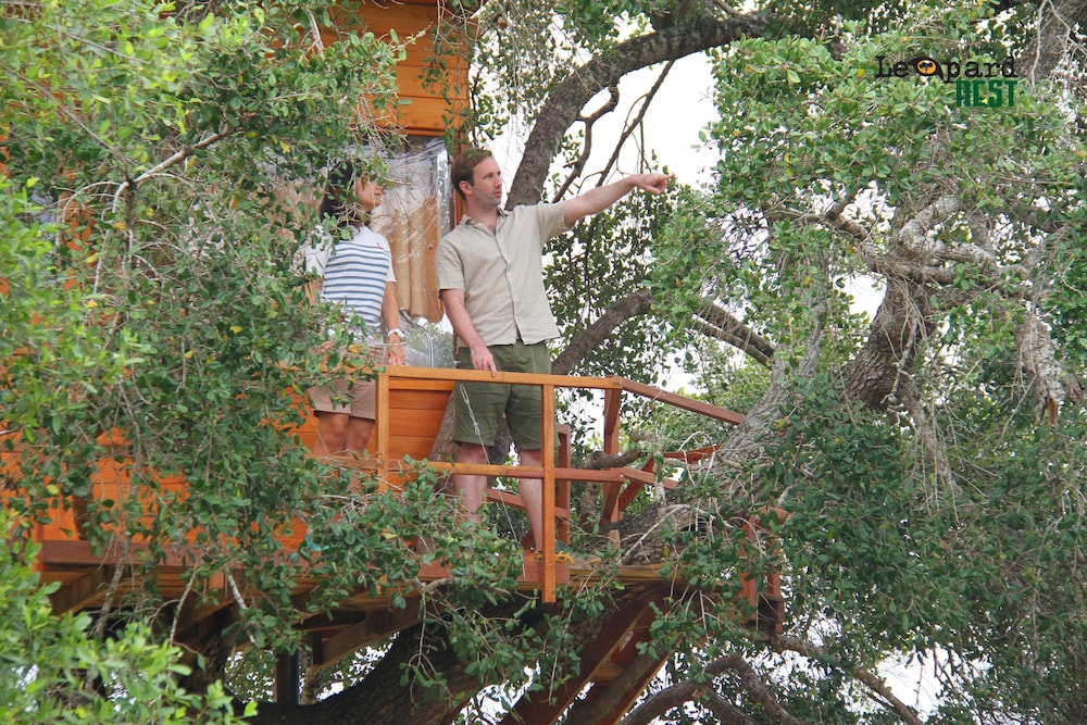 Leopard Nest in Yala