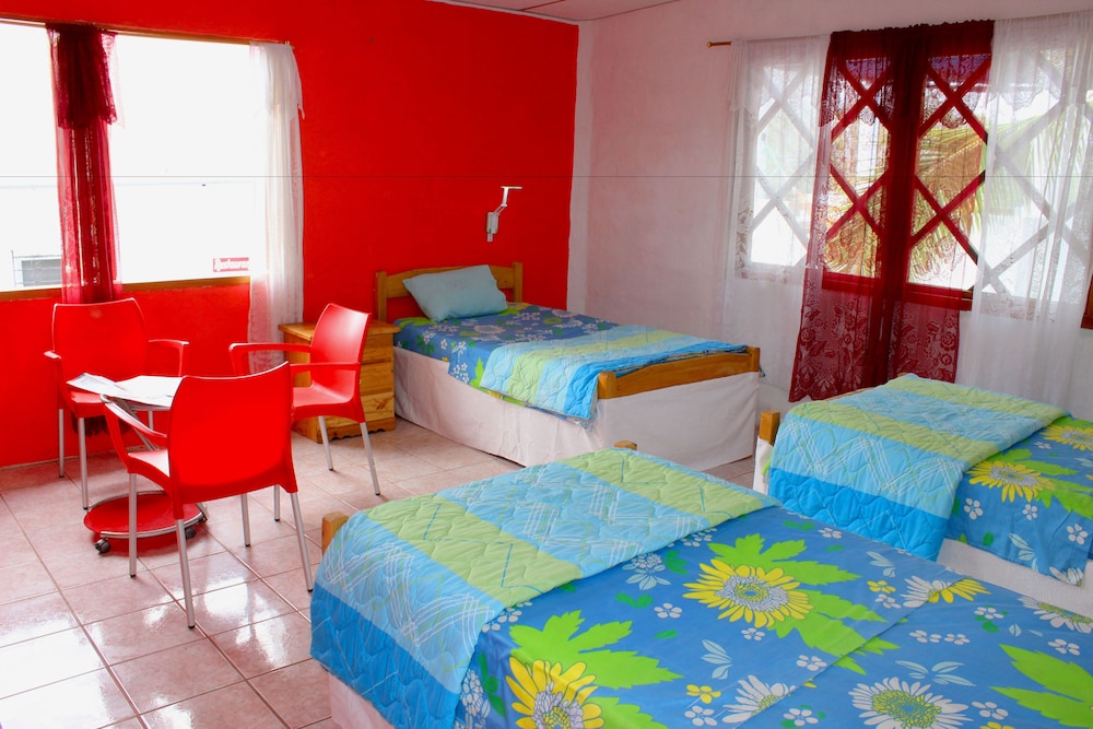 Galapagos Penguin Hostel