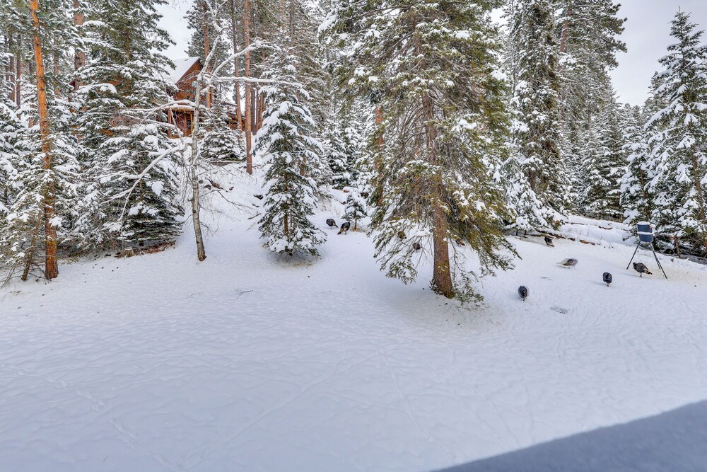 Hot Tub + Deck: Secluded Black Hills Retreat!