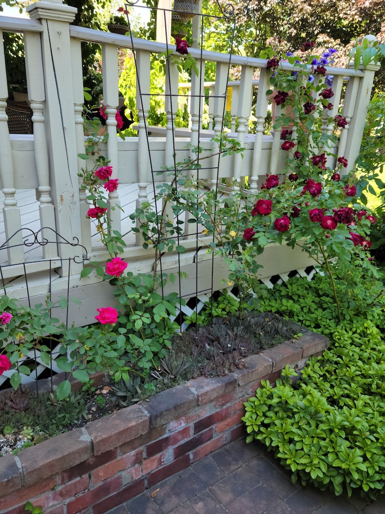 The Lamplighter Bed & Breakfast of Ludington