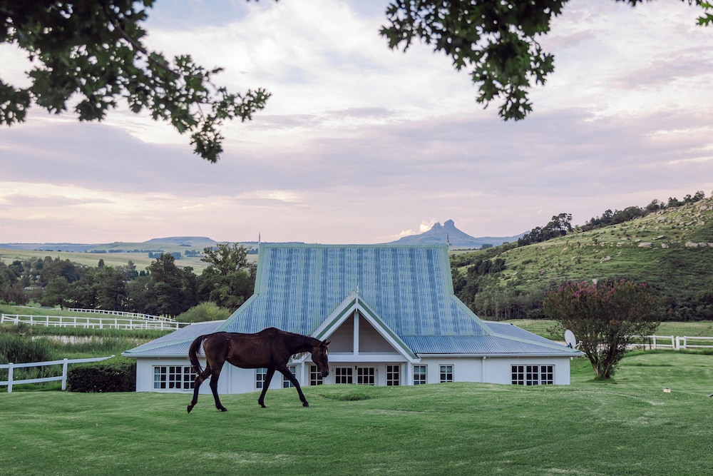 Oaklands Farm Stay