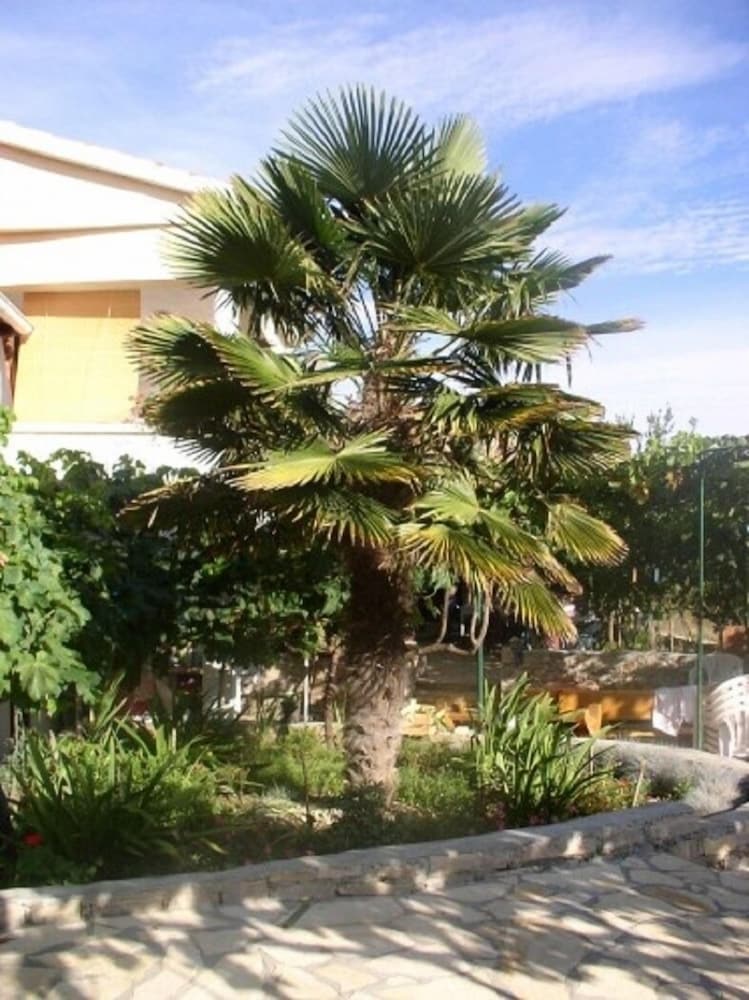 Photo 7
