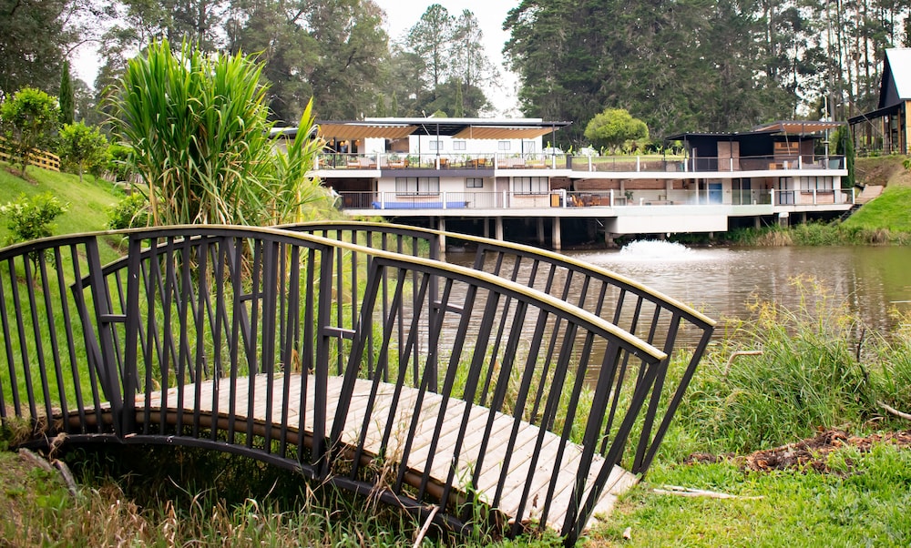 Monarch Campestre