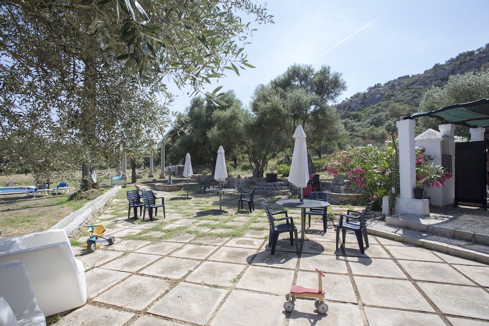 Photo 129