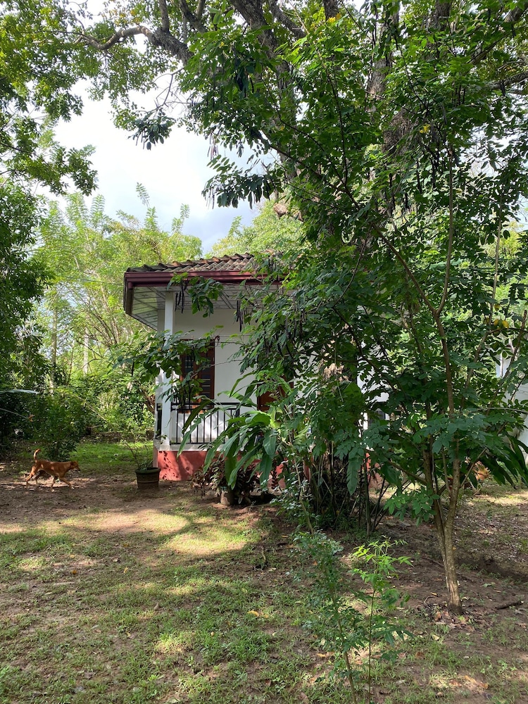 Calm Garden Cabanas