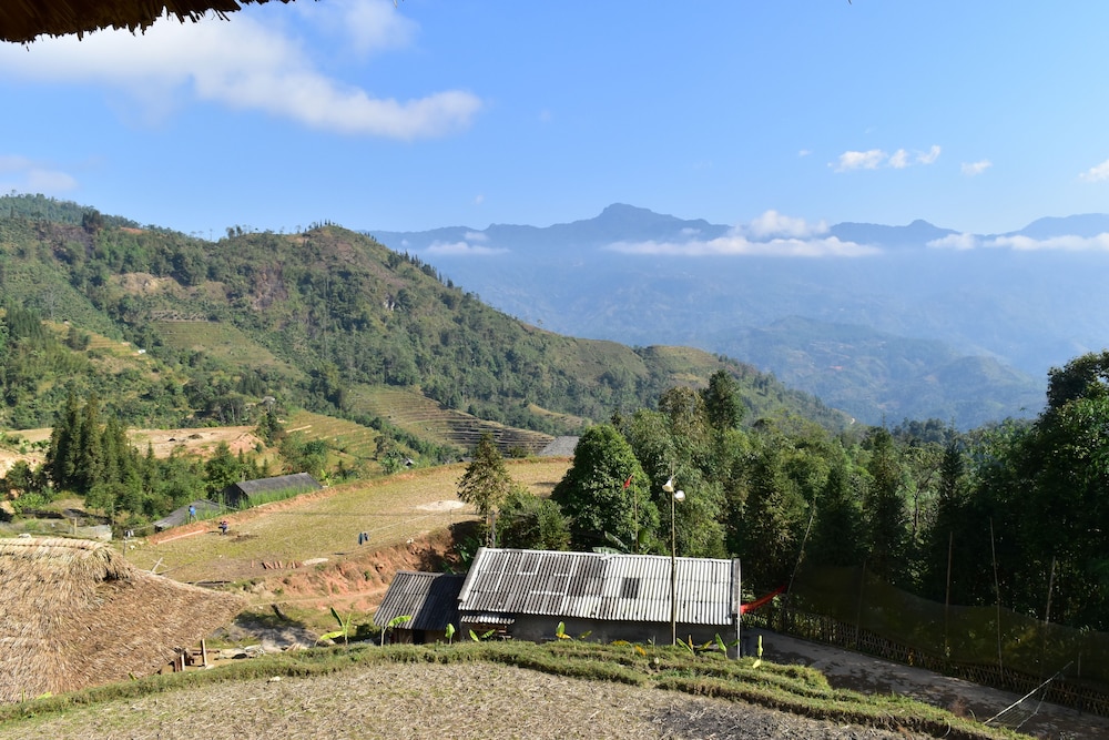Thong Nguyen Homestay - Hostel
