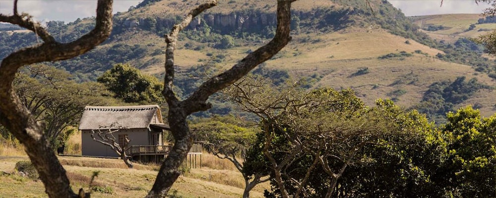 Ukuthula Lodge