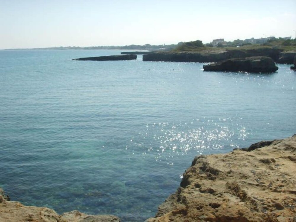 Photo 49