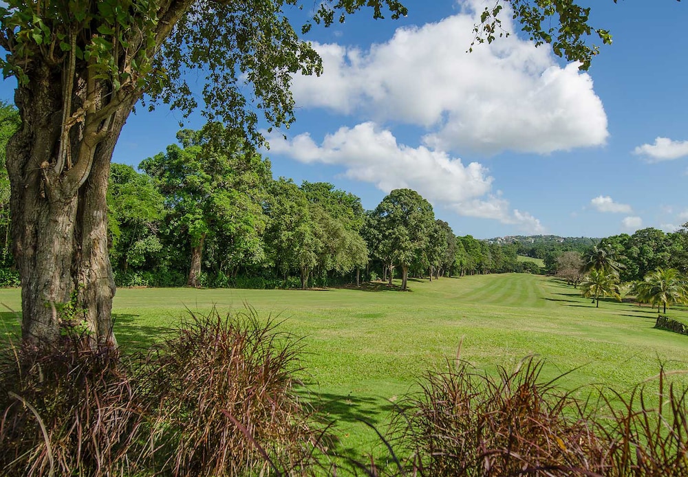 Jamaica Vacations - Sandals Ochi - ALL INCLUSIVE Couples Only - Property Image 81