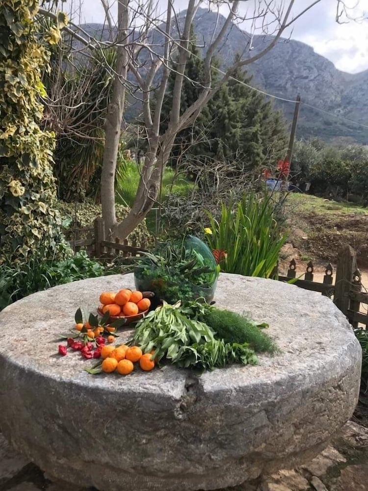 Mylopetra Four Seasons Traditional House