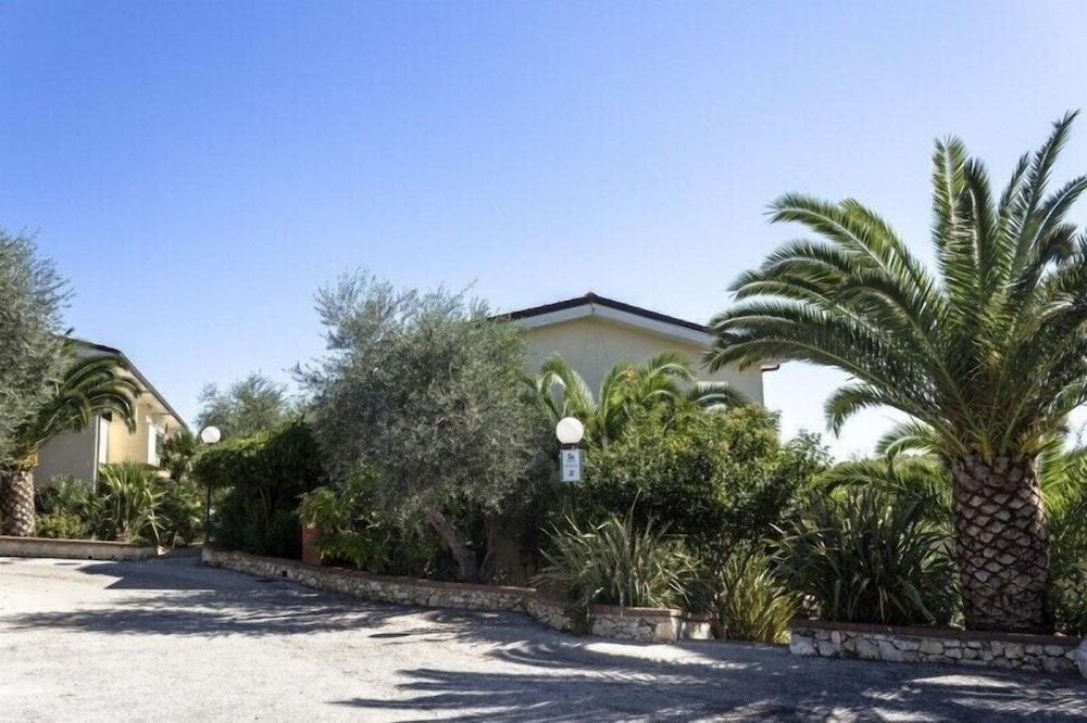 Photo 31