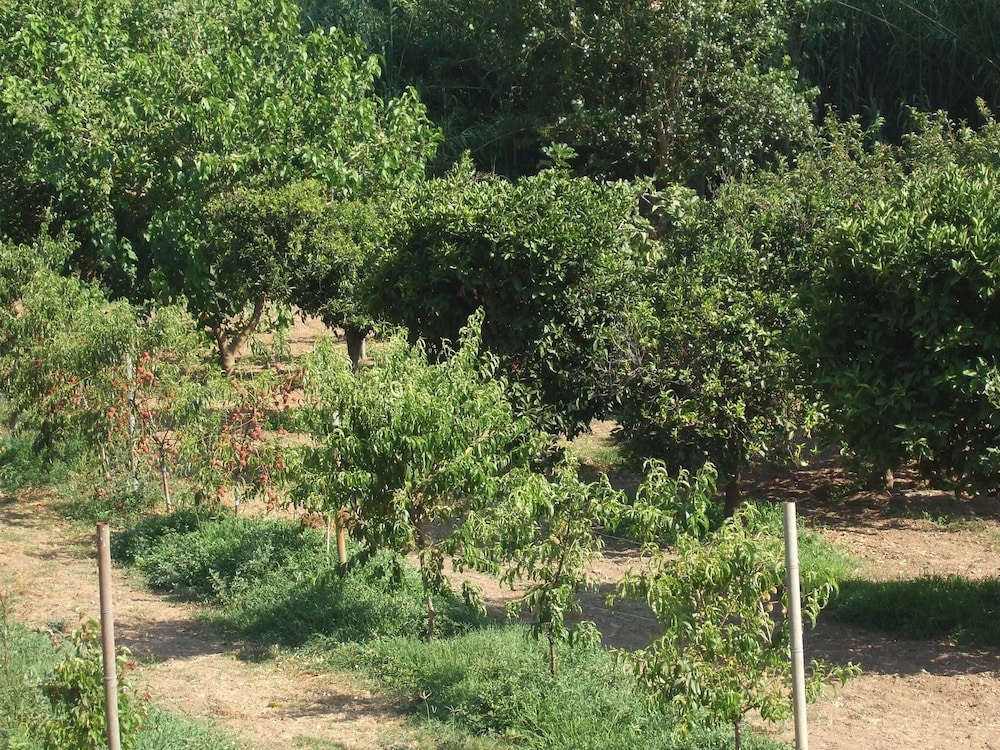 Photo 26