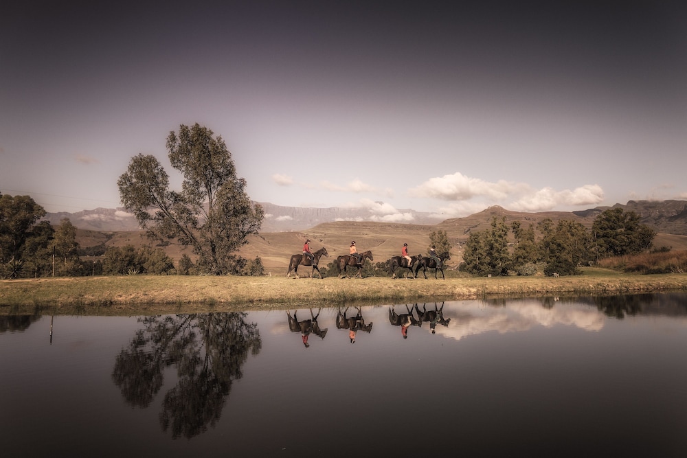 Montusi Mountain Lodge