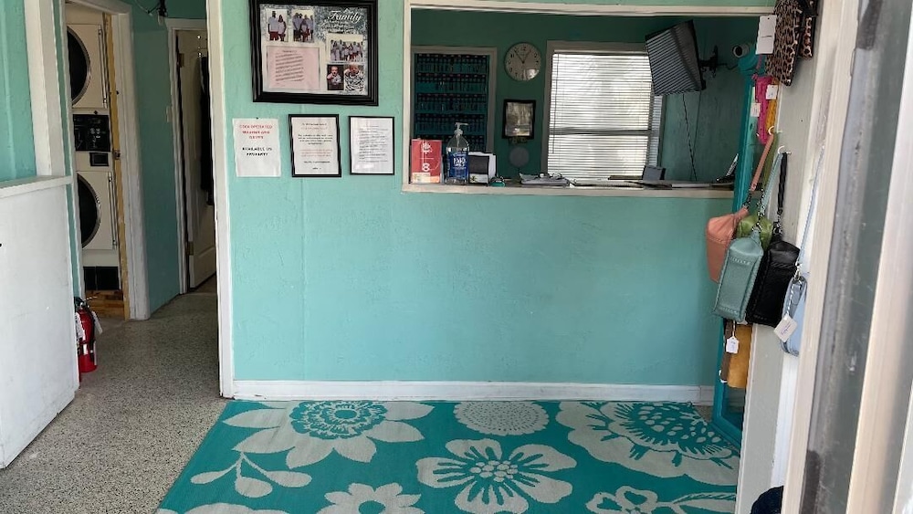 Lollye on the Beach