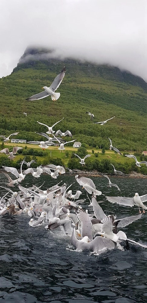 Fiskesenter Birkeland
