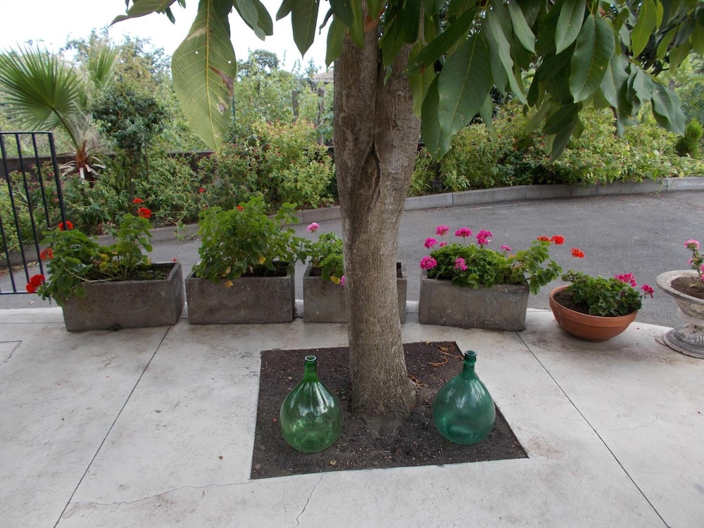 Photo 26