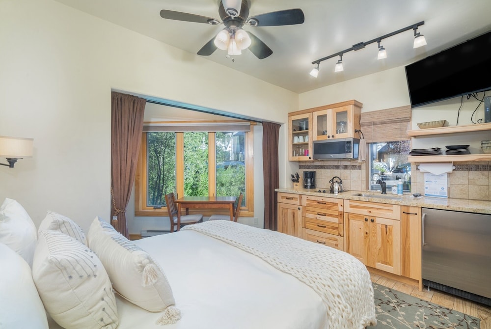 Telluride Ski Resort CO - Viking Lodge Condos