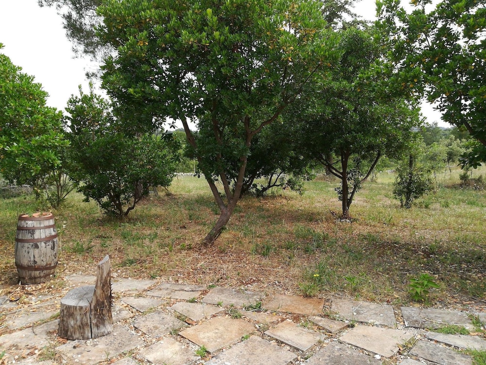 Photo 41