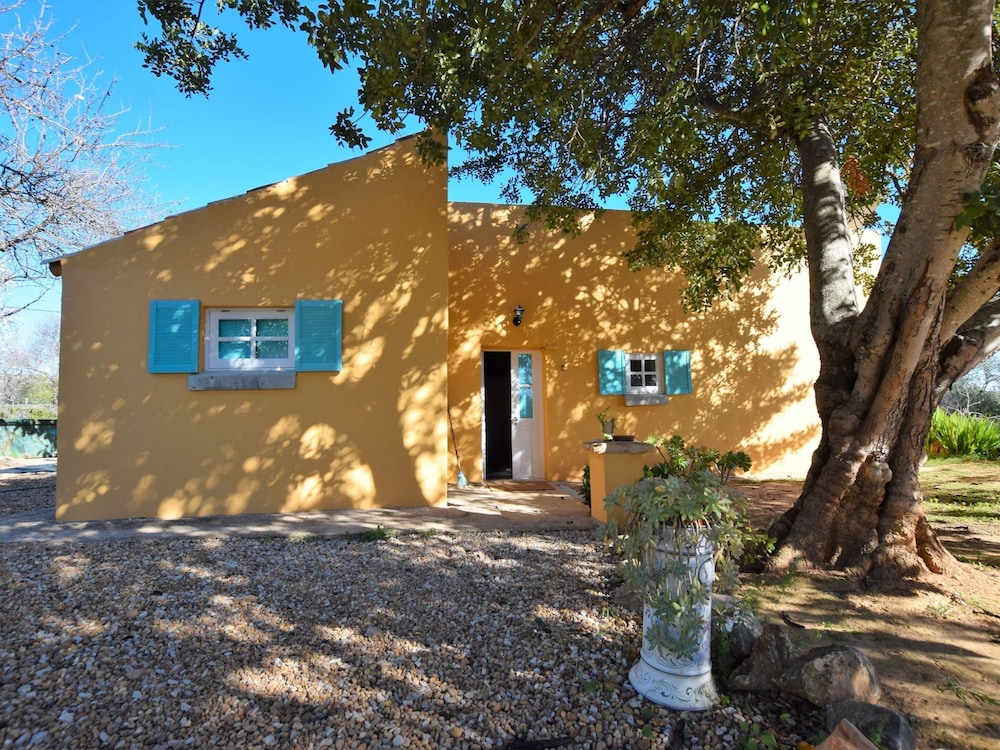 Attractive Portuguese Farm With Modern Decoration view 4
