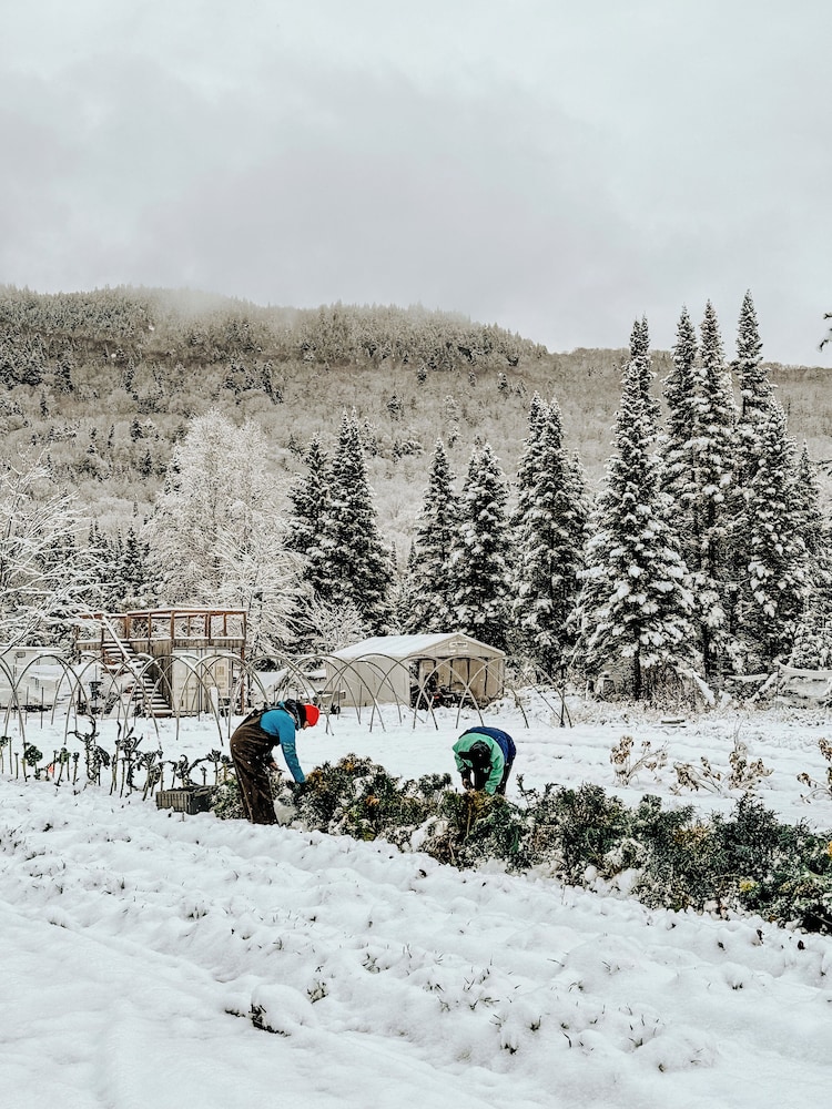 Farouche Tremblant