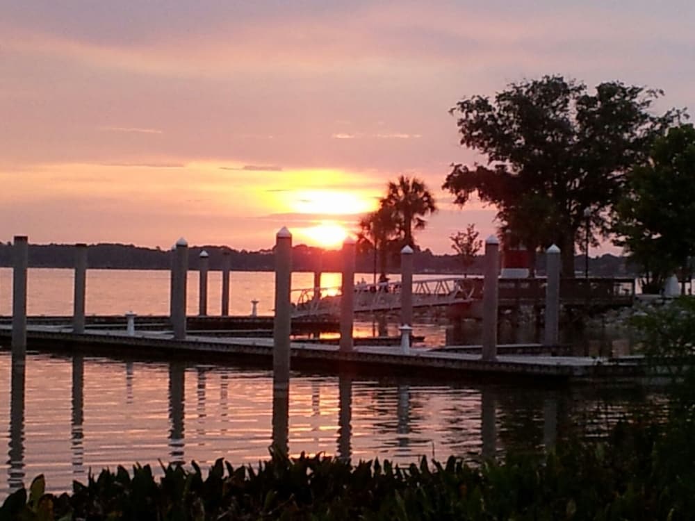 Mount Dora Cottages