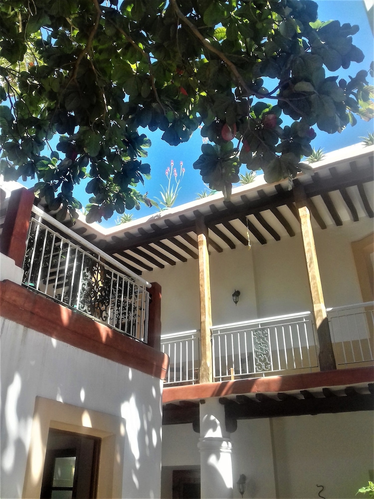 Jardim dos Aloés - Unique B&B, photo 74