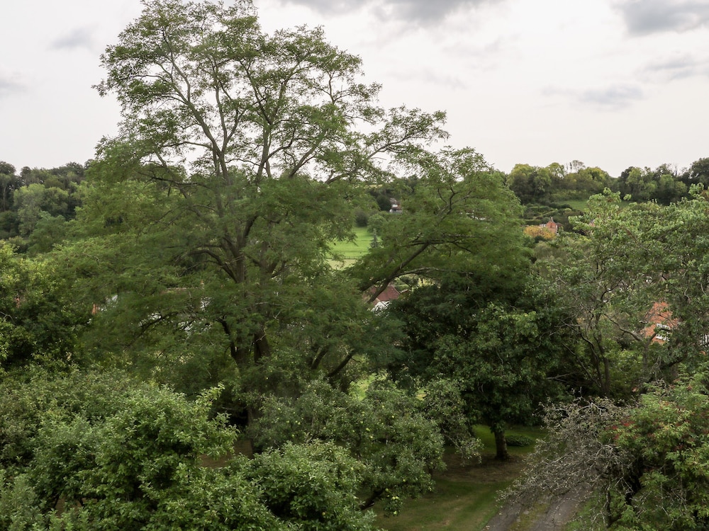 Hapton Folly