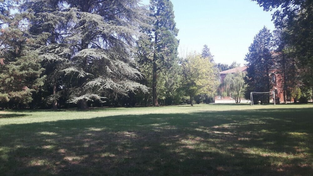 Photo 25