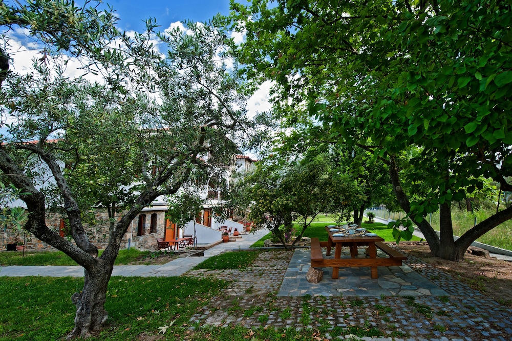 Sofia's House