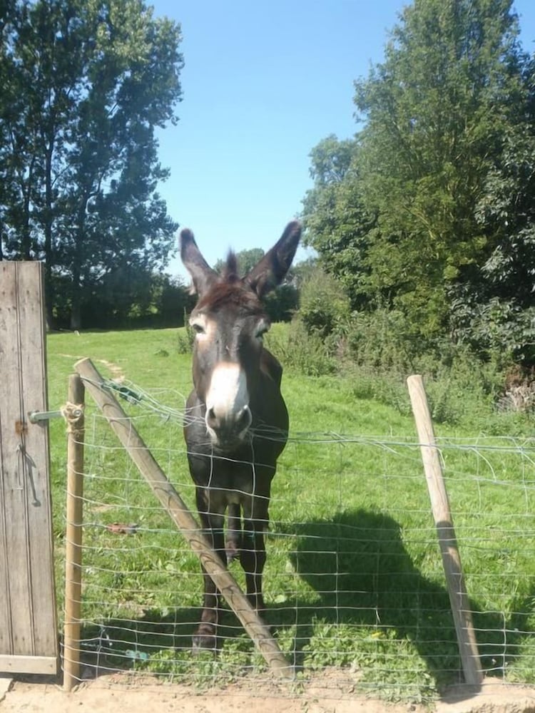 La Chaiserie en Romeries