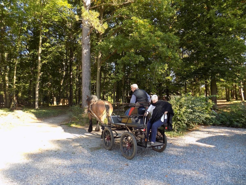 B&B Les Buissonnets de Longchamps