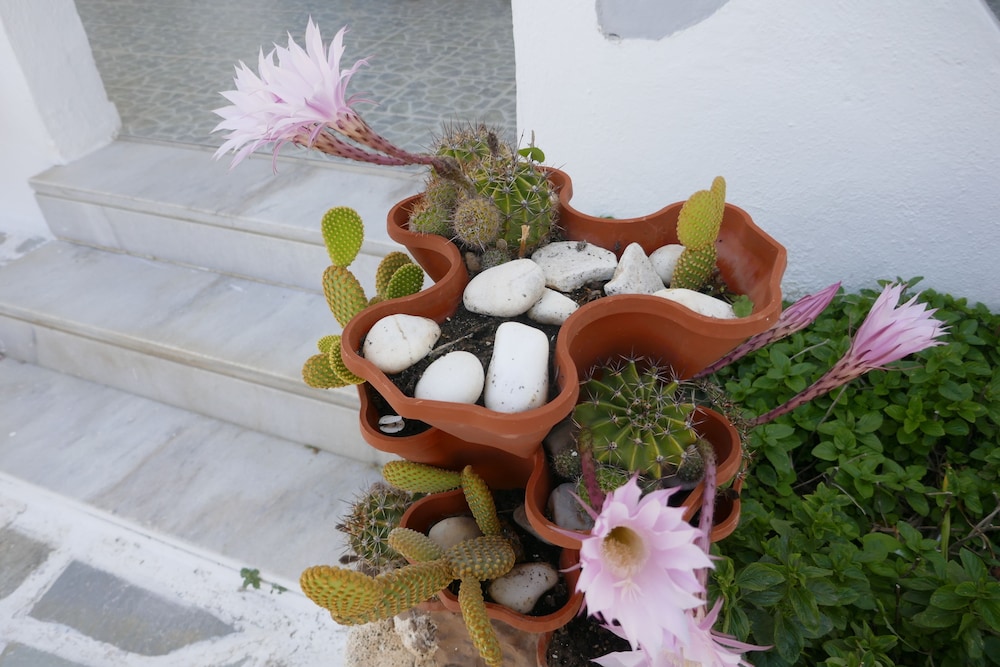 Photo 30
