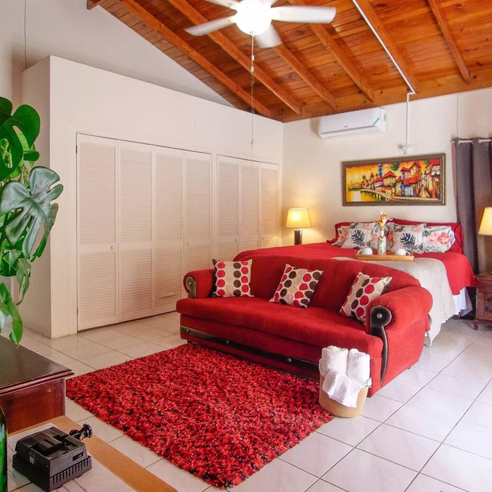 876 JA Oasis by Kingston Airport view 5