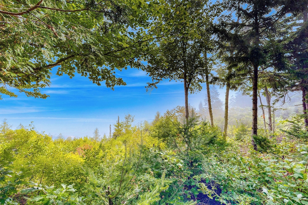 Cozy 1BR Cabin w/ Landscape Views
